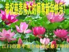 ֹ,㶫󷨵ӹףʦ(28)
