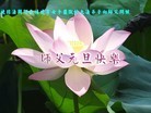 Published on 12/31/2015 ���ֹ�,���Ƿ���Ѻ�Ĵ󷨵��ӹ�ףʦ���������(26��)
