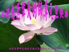 Published on 12/31/2015 ���ֹ�,���Ƿ���Ѻ�Ĵ󷨵��ӹ�ףʦ���������(26��)
