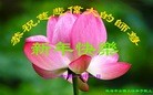 法轮功,广东大法弟子恭祝师尊新年快乐(28条)
