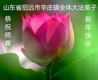 Published on 12/29/2015 ���ֹ�,��½�󷨵��ӹ�ףʦ���������(29��)
