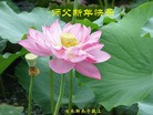 ֹ,󷨵ӹףʦ(23)
