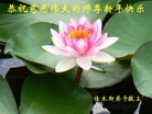 Published on 12/31/2015 ���ֹ�,��½�󷨵��ӹ�ףʦ���������(26��)
