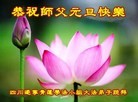Published on 12/29/2015 ���ֹ�,��½�󷨵��ӹ�ףʦ���������(29��)
