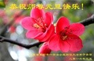 Published on 12/31/2015 ���ֹ�,��½�󷨵��ӹ�ףʦ���������(26��)
