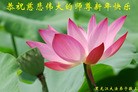 Published on 12/31/2015 ���ֹ�,��½�󷨵��ӹ�ףʦ���������(26��)
