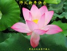 Published on 12/31/2015 ���ֹ�,��½�󷨵��ӹ�ףʦ���������(26��)

