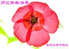 Published on 12/29/2015 ���ֹ�,��½�󷨵��ӹ�ףʦ���������(33��)
