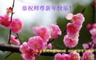 Published on 12/29/2015 ���ֹ�,��½�󷨵��ӹ�ףʦ���������(29��)
