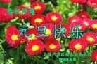 ֹ,Ϻ󷨵ӹףʦ(22)
