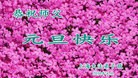 ֹ,Ϻ󷨵ӹףʦ(22)
