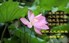 ֹ,󷨵ӹףʦ(22)
