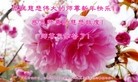 Published on 12/31/2015 ���ֹ�,��½�󷨵��ӹ�ףʦ���������(41��)
