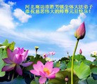 Published on 12/29/2015 ���ֹ�,��½�󷨵��ӹ�ףʦ���������(35��)
