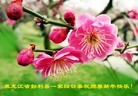 ֹ,󷨵ӹףʦ(23)
