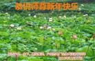 ֹ,󷨵ӹףʦ(25)
