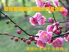 Published on 12/29/2015 ���ֹ�,��½�󷨵��ӹ�ףʦ���������(33��)
