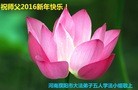 法轮功,河南大法弟子恭祝师尊新年快乐(29条)
