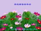 ֹ,󷨵ӹףʦ(27)
