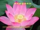 ֹ,󷨵ӹףʦ(27)
