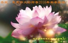 ֹ,󷨵ӹףʦ(23)
