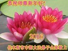 ֹ,ľ˹󷨵ӹףʦ(21)
