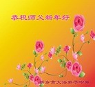 法轮功,河南大法弟子恭祝师尊新年快乐(29条)
