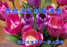 ֹ,մ󷨵ӹףʦ(22)
