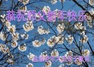 ֹ,մ󷨵ӹףʦ(22)
