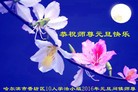 ֹ,󷨵ӹףʦ(23)
