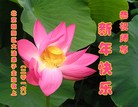 ֹ,󷨵ӹףʦ(29)
