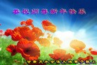 ֹ,󷨵ӹףʦ(24)
