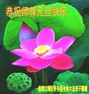 ֹ,żҿڴ󷨵ӹףʦ(23)
