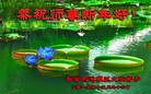 Published on 12/29/2015 ���ֹ�,��½�󷨵��ӹ�ףʦ���������(36��)
