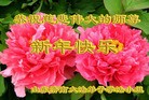 ֹ,ϴ󷨵ӹףʦ(26)
