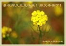 ֹ,ϴ󷨵ӹףʦ(26)
