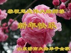 ֹ,ϴ󷨵ӹףʦ(26)

