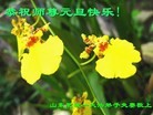 Published on 12/31/2015 ���ֹ�,��½�󷨵��ӹ�ףʦ���������(41��)
