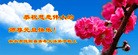 ֹ,ӱ󷨵ӹףʦ(24)
