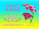 Published on 12/31/2015 ���ֹ�,���󷨵��ӹ�ףʦ�������(28��)
