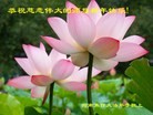 ֹ,ϴ󷨵ӹףʦ(26)
