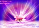 法轮功,陕西大法弟子恭祝师尊新年好(25条)
