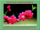 Published on 12/31/2015 ���ֹ�,���󷨵��ӹ�ףʦ���������(18��)
