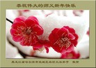 Published on 12/31/2015 ���ֹ�,���󷨵��ӹ�ףʦ���������(18��)
