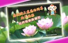 ֹ,󷨵ӹףʦ(26)

