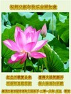 ֹ,󷨵ӹףʦ(26)
