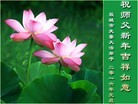 ֹ,󷨵ӹףʦ(26)
