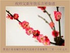 Published on 12/31/2015 ���ֹ�,���󷨵��ӹ�ףʦ���������(18��)
