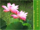 Published on 12/31/2015 ���ֹ�,���󷨵��ӹ�ףʦ���������(18��)

