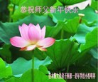 ֹ,ľ˹󷨵ӹףʦ(24)
